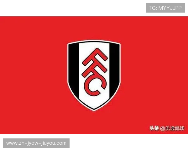 英超球队资本：英超球队的资本运作与经济分析