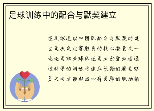 足球训练中的配合与默契建立